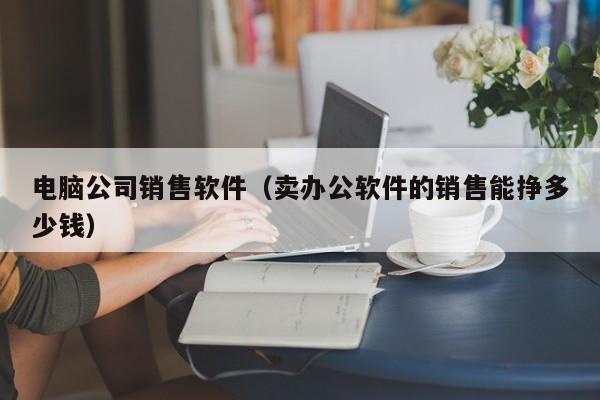 电脑公司销售软件（卖办公软件的销售能挣多少钱）