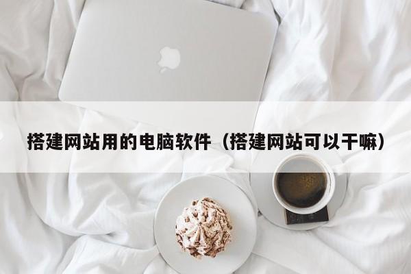 搭建网站用的电脑软件（搭建网站可以干嘛）