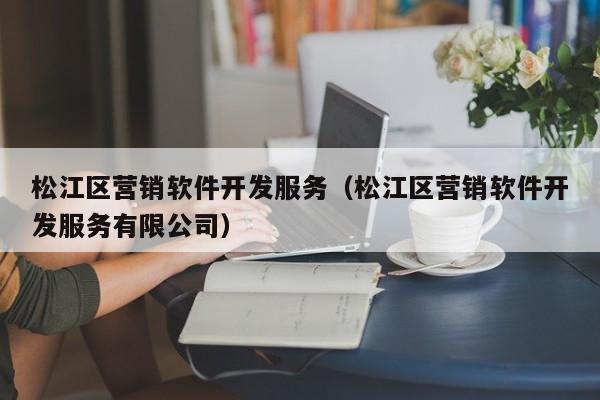 松江区营销软件开发服务（松江区营销软件开发服务有限公司）