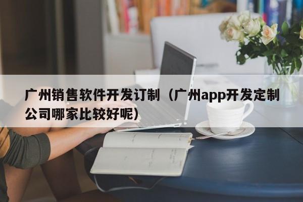 广州销售软件开发订制（广州app开发定制公司哪家比较好呢）