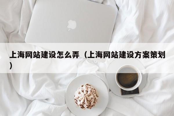 上海网站建设怎么弄(上海网站建设方案策划)