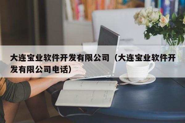 大连宝业软件开发有限公司(大连宝业软件开发有限公司电话)