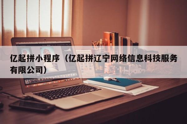 亿起拼小程序（亿起拼辽宁网络信息科技服务有限公司）