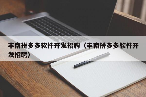 丰南拼多多软件开发招聘（丰南拼多多软件开发招聘）