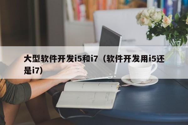 大型软件开发i5和i7（软件开发用i5还是i7）