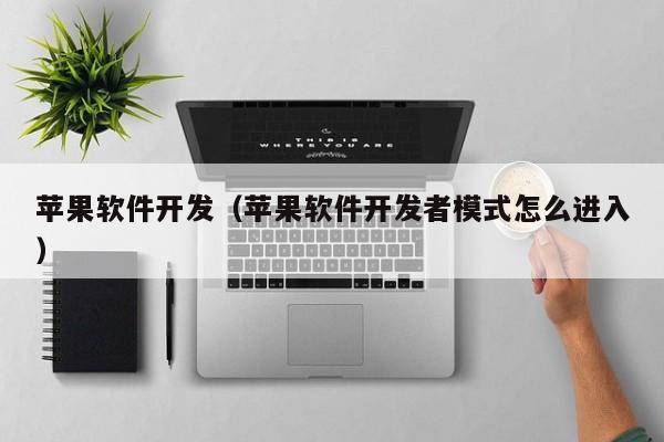 苹果软件开发（苹果软件开发者模式怎么进入）