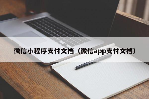 微信小程序支付文档（微信app支付文档）