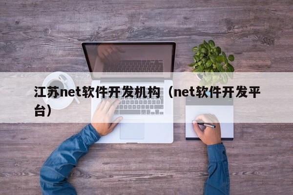 江苏net软件开发机构（net软件开发平台）