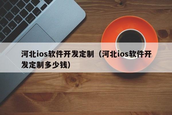 河北ios软件开发定制(河北ios软件开发定制多少钱)