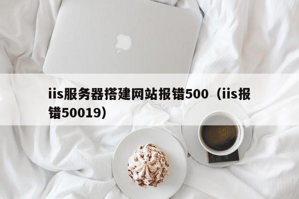 iis服务器搭建网站报错500（iis报错50019）