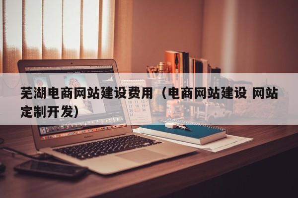 芜湖电商网站建设费用(电商网站建设 网站定制开发)