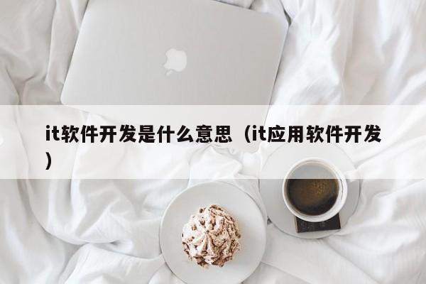 it软件开发是什么意思（it应用软件开发）