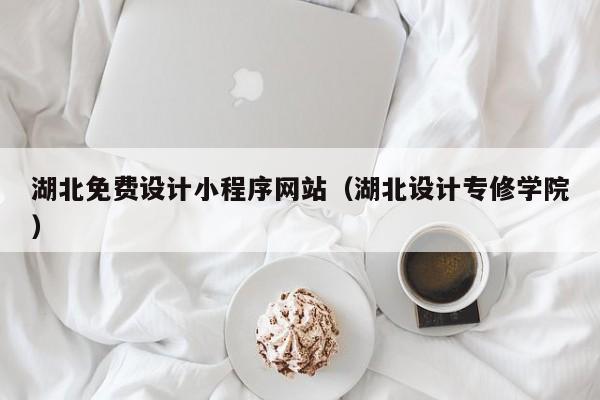 湖北免费设计小程序网站（湖北设计专修学院）