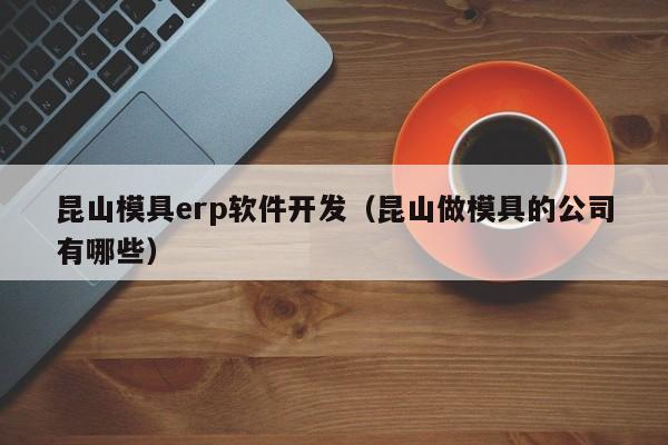 昆山模具erp软件开发（昆山做模具的公司有哪些）