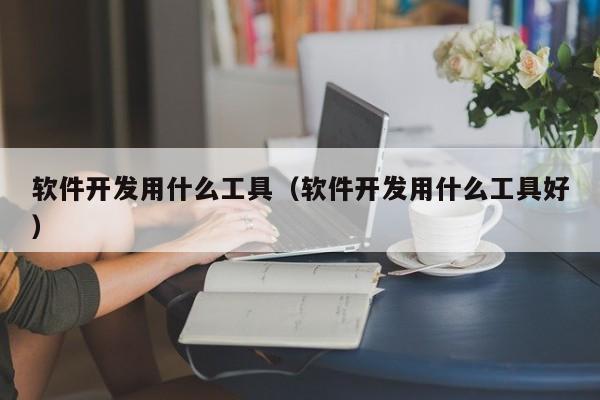 软件开发用什么工具（软件开发用什么工具好）