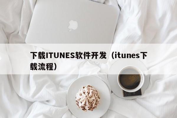 下载ITUNES软件开发(itunes下载流程)