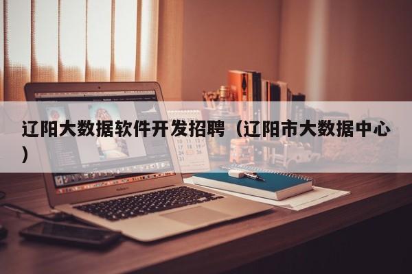 辽阳大数据软件开发招聘（辽阳市大数据中心）