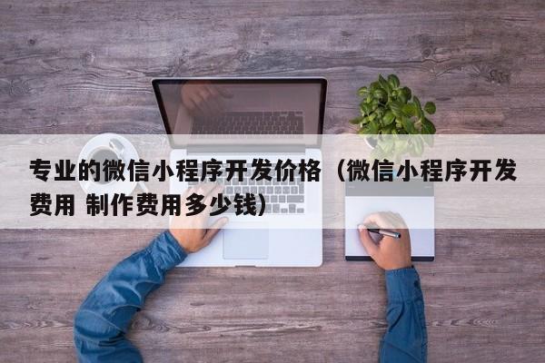 专业的微信小程序开发价格（微信小程序开发费用 制作费用多少钱）