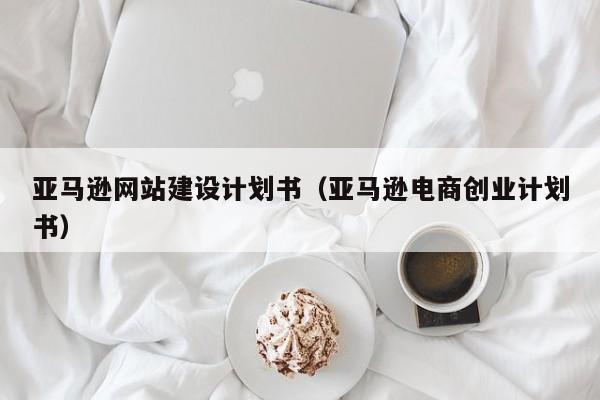 亚马逊网站建设计划书（亚马逊电商创业计划书）