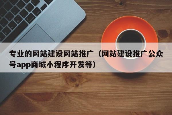 专业的网站建设网站推广(网站建设推广公众号app商城小程序开发等)