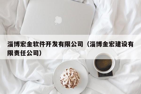 淄博宏金软件开发有限公司（淄博金宏建设有限责任公司）