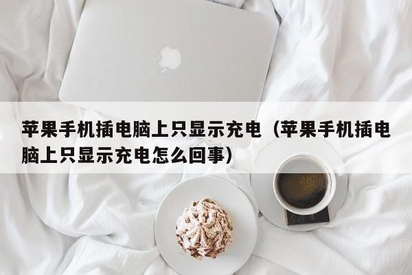 苹果手机插电脑上只显示充电(苹果手机插电脑上只显示充电怎么回事)