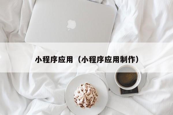 小程序应用（小程序应用制作）