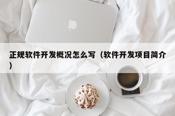 正规软件开发概况怎么写(软件开发项目简介)