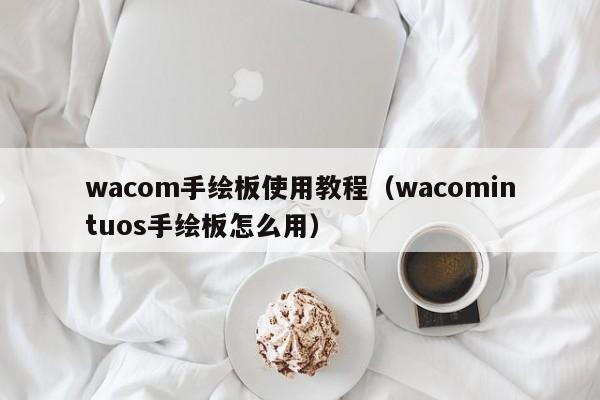 wacom手绘板使用教程（wacomintuos手绘板怎么用）