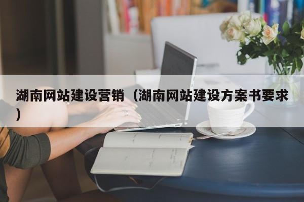湖南网站建设营销(湖南网站建设方案书要求)