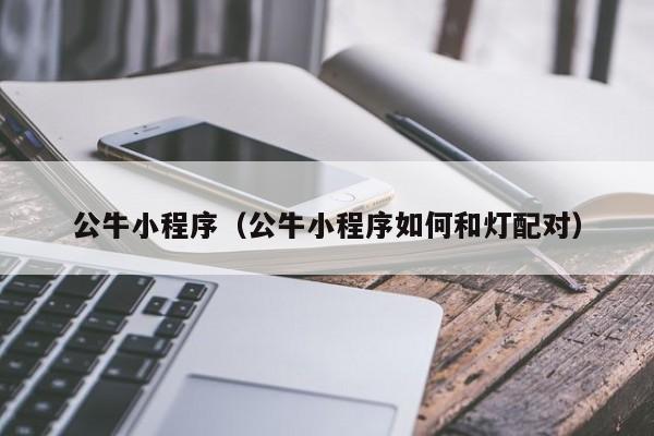 公牛小程序（公牛小程序如何和灯配对）