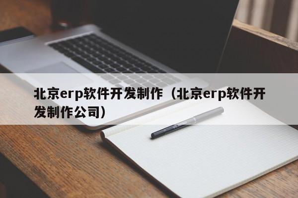 北京erp软件开发制作（北京erp软件开发制作公司）
