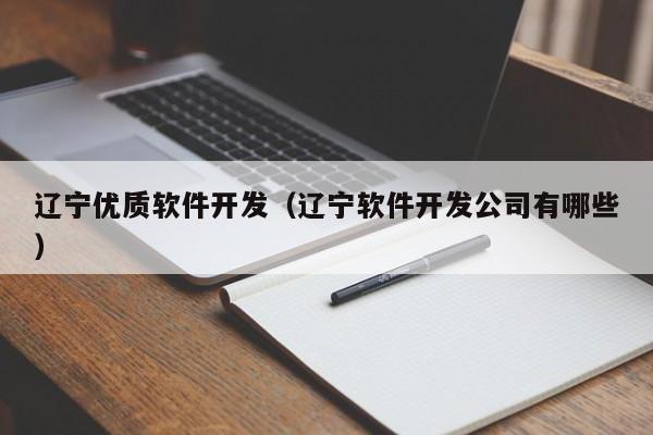 辽宁优质软件开发（辽宁软件开发公司有哪些）
