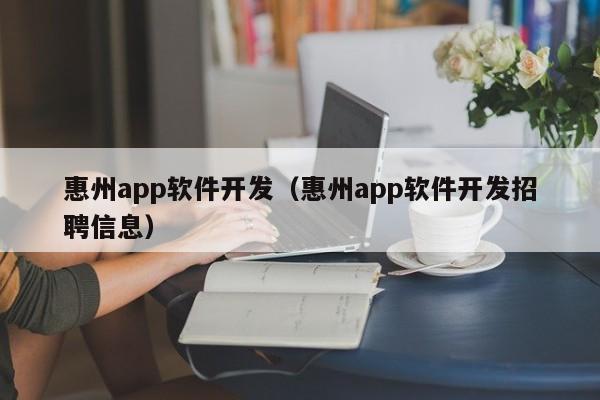 惠州app软件开发（惠州app软件开发招聘信息）