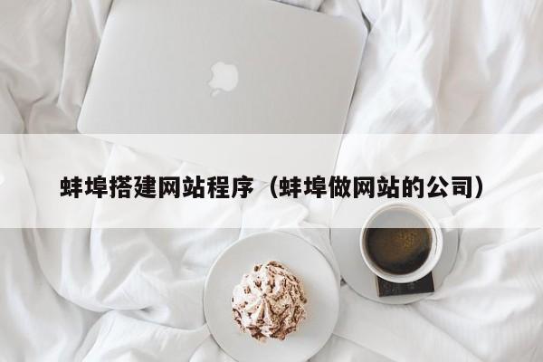 蚌埠搭建网站程序（蚌埠做网站的公司）
