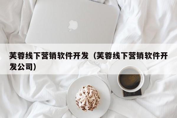 芙蓉线下营销软件开发（芙蓉线下营销软件开发公司）
