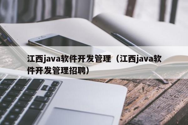 江西java软件开发管理（江西java软件开发管理招聘）