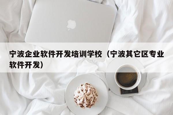 宁波企业软件开发培训学校（宁波其它区专业软件开发）