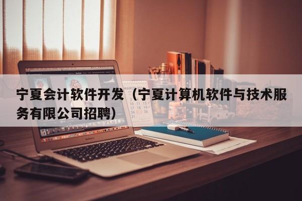 宁夏会计软件开发（宁夏计算机软件与技术服务有限公司招聘）