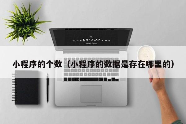 小程序的个数（小程序的数据是存在哪里的）