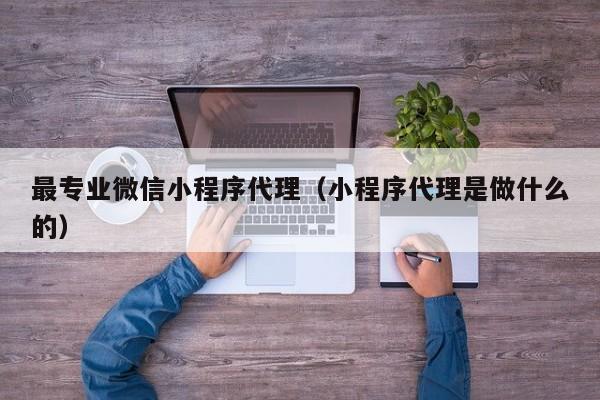 最专业微信小程序代理（小程序代理是做什么的）