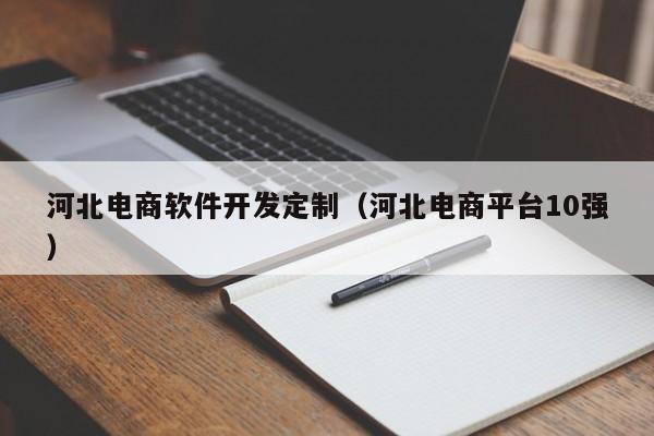 河北电商软件开发定制（河北电商平台10强）