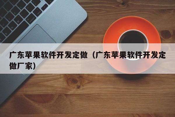 广东苹果软件开发定做（广东苹果软件开发定做厂家）