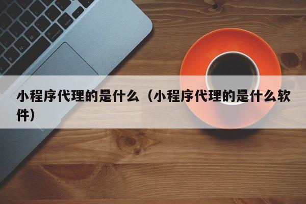 小程序代理的是什么（小程序代理的是什么软件）