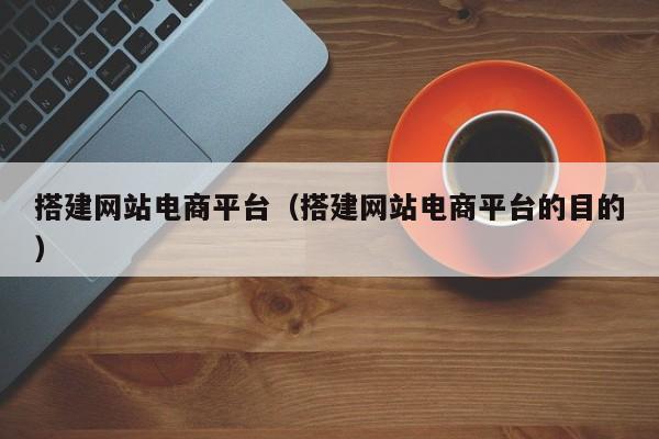 搭建网站电商平台（搭建网站电商平台的目的）