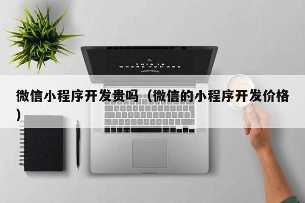 微信小程序开发贵吗（微信的小程序开发价格）