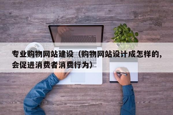专业购物网站建设（购物网站设计成怎样的,会促进消费者消费行为）