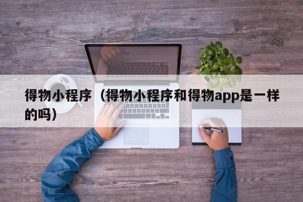 得物小程序（得物小程序和得物app是一样的吗）