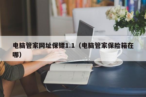电脑管家网址保镖1.1（电脑管家保险箱在哪）