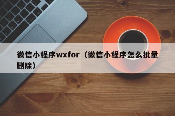 微信小程序wxfor（微信小程序怎么批量删除）